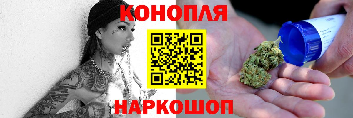 Бошки марихуана семена  Вход с VPN  Марихуана план  Конопля Bruce Banner  Каменск-Уральский  Конопля индика 